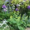 Colour combinations in the border...